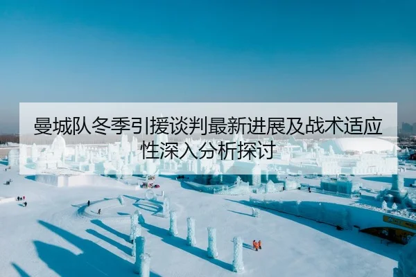 曼城队冬季引援谈判最新进展及战术适应性深入分析探讨